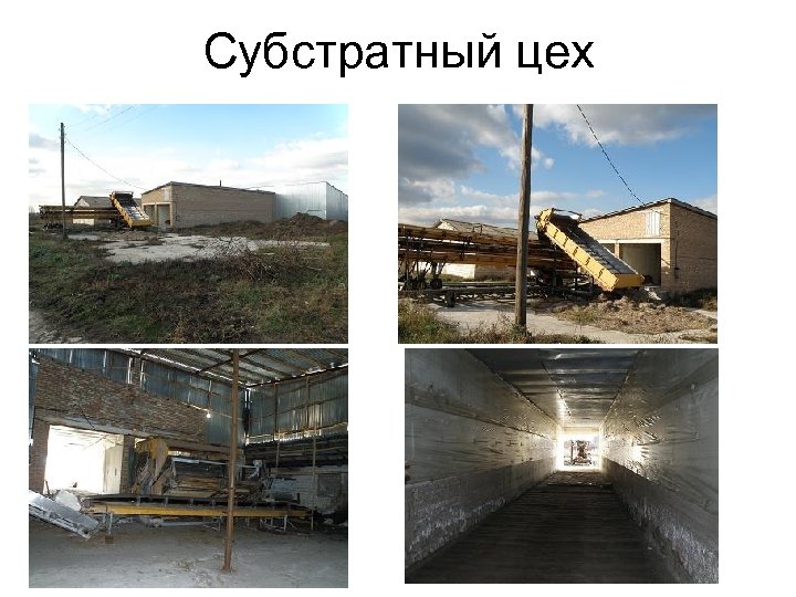 Субстратный цех 