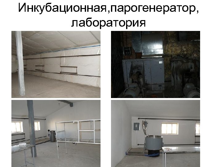 Инкубационная, парогенератор, лаборатория 