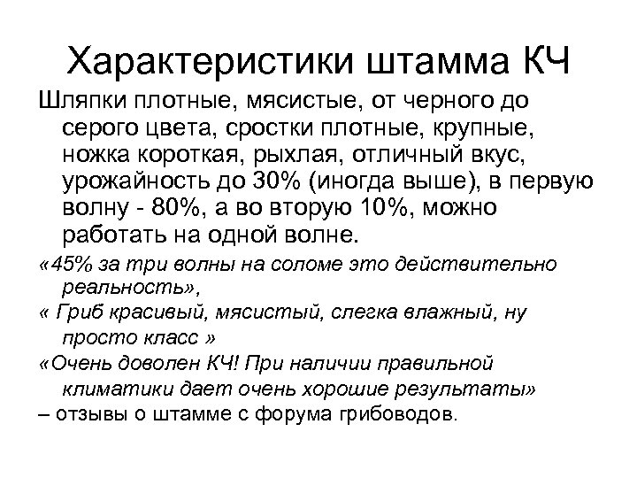 Характеристики штамма КЧ Шляпки плотные, мясистые, от черного до серого цвета, сростки плотные, крупные,