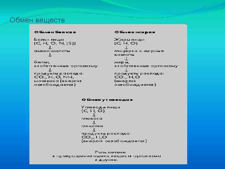 Обмен веществ 
