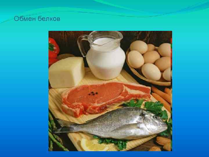 Обмен белков 