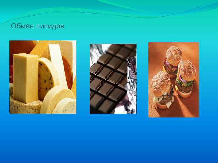 Обмен липидов 