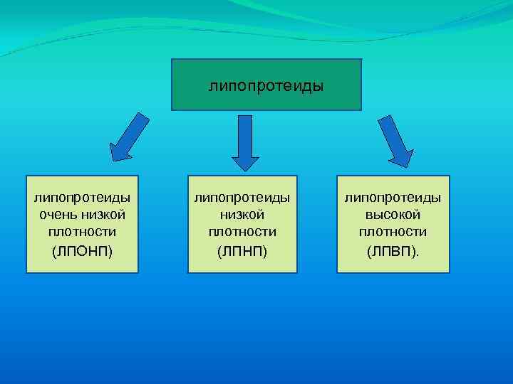 липопротеиды очень низкой плотности (ЛПОНП) липопротеиды низкой плотности (ЛПНП) липопротеиды высокой плотности (ЛПВП). 