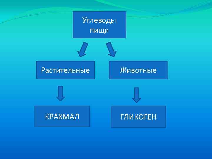 Углеводы пищи Растительные КРАХМАЛ Животные ГЛИКОГЕН 