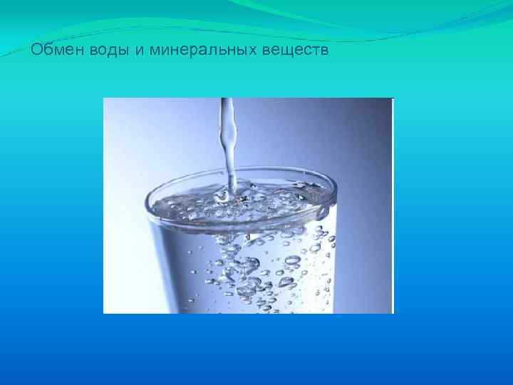 Обмен воды и минеральных веществ 