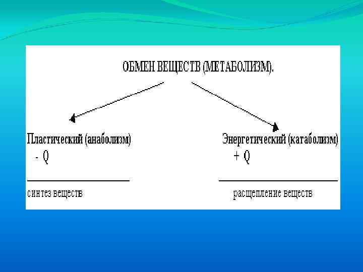 Обмен веществ и энергии анаболизм катаболизм