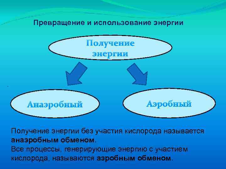 Типы обмена веществ анаэробный. Аэробный и анаэробный метаболизм. Анаэробный Тип обмена веществ. Анажробный ти п обмена веществ. Аэробный и анаэробный Тип обмена веществ.