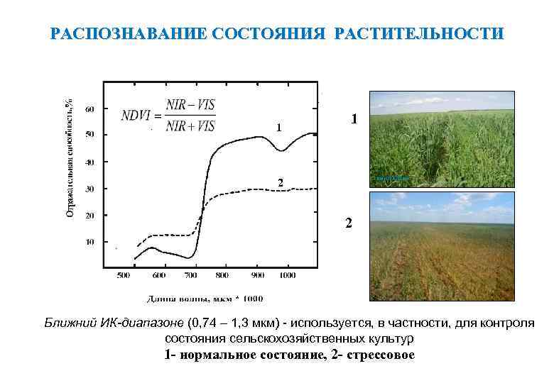 РАСПОЗНАВАНИЕ СОСТОЯНИЯ РАСТИТЕЛЬНОСТИ 1 1 2 2 Ближний ИК-диапазоне (0, 74 – 1, 3