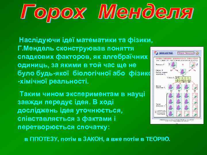 Наслідуючи ідеї математики та фізики, Г. Мендель сконструював поняття спадкових факторов, як алгебраїчних одиниць,