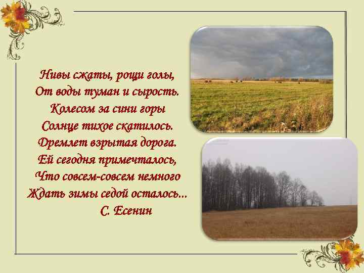 Стихотворение есенин нивы. Стих Есенина Нивы сжаты. Есенин стихи Нивы сжаты Рощи. Стих Есенина Рощи голы Нивы.