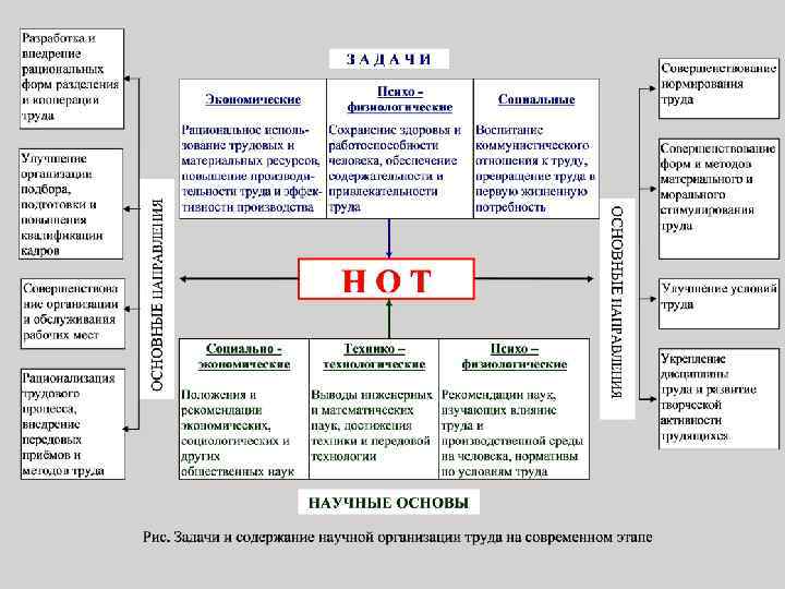 Высшая научная организация