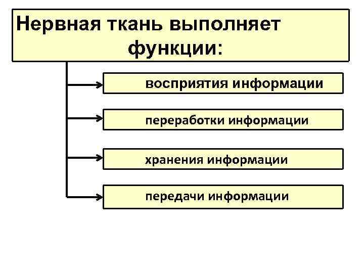 Функции восприятия. Основные функции восприятия в психологии. Функции восприятия в психологии кратко. Функции восприятия в психологии с примерами. Функция восприятия в педагогике.