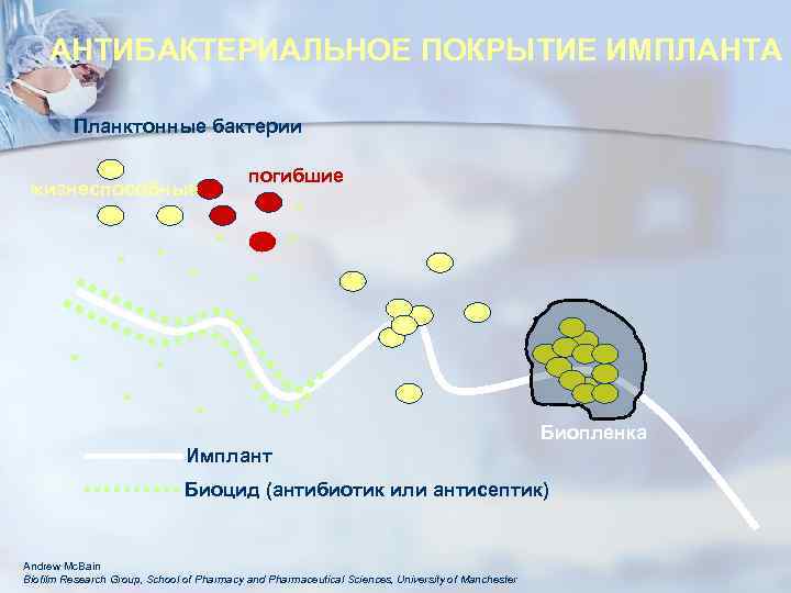 АНТИБАКТЕРИАЛЬНОЕ ПОКРЫТИЕ ИМПЛАНТА Планктонные бактерии жизнеспособные погибшие Биопленка Имплант Биоцид (антибиотик или антисептик) Andrew