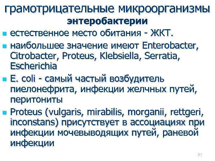 грамотрицательные микроорганизмы n n энтеробактерии естественное место обитания - ЖКТ. наибольшее значение имеют Enterobacter,