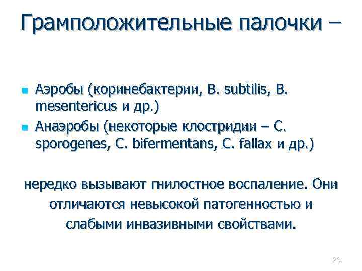 Грамположительные палочки – n n Аэробы (коринебактерии, B. subtilis, В. mesentericus и др. )