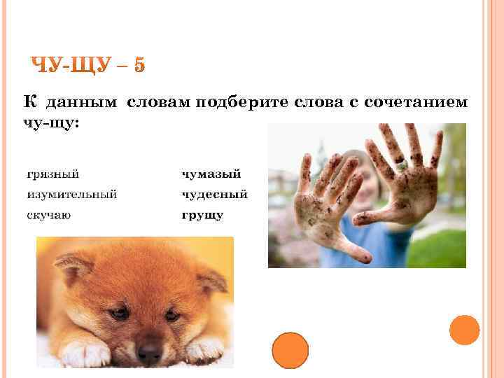 К данным словам подберите слова с сочетанием чу-щу: 