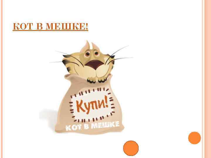 КОТ В МЕШКЕ! 