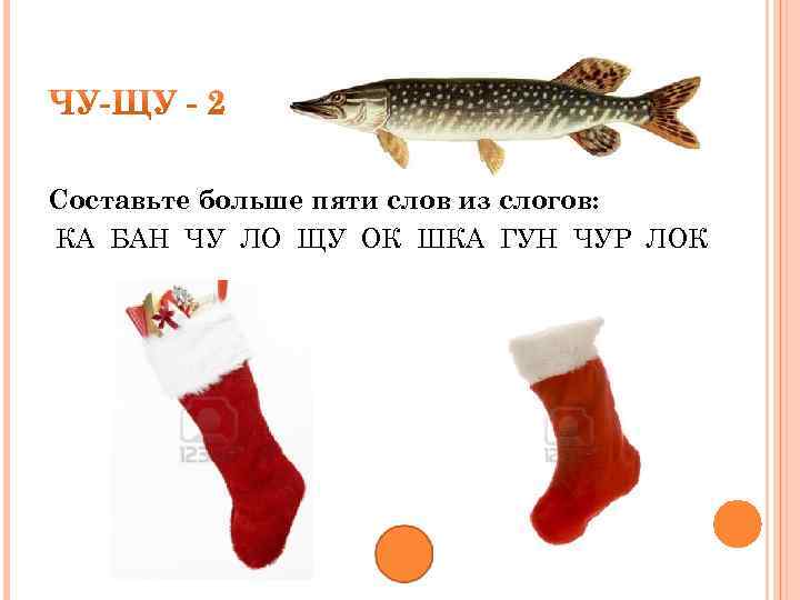 Составьте больше пяти слов из слогов: КА БАН ЧУ ЛО ЩУ ОК ШКА ГУН
