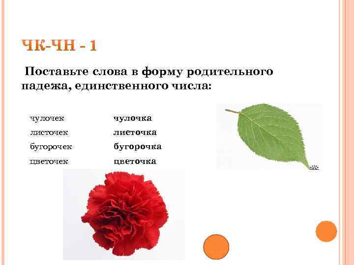 Поставьте слова в форму родительного падежа, единственного числа: чулочек чулочка листочек листочка бугорочек бугорочка