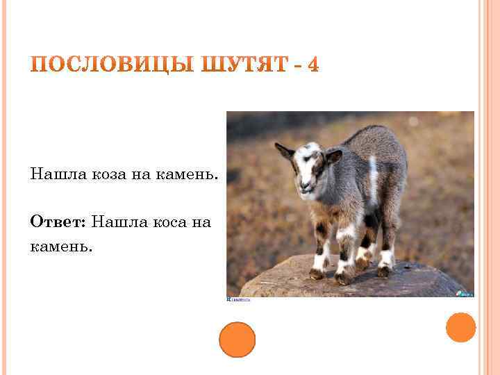 Нашла коза на камень. Ответ: Нашла коса на камень. 