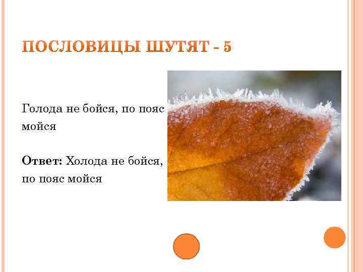 Голода не бойся, по пояс мойся Ответ: Холода не бойся, по пояс мойся 