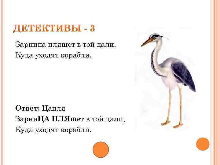Зарница пляшет в той дали, Куда уходят корабли. Ответ: Цапля Зарни. ЦА ПЛЯшет в