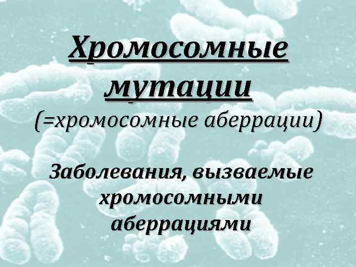 Хромосомные мутации картинки