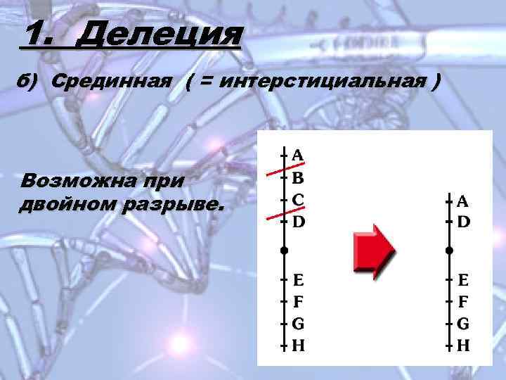 1. Делеция б) Срединная ( = интерстициальная ) Возможна при двойном разрыве. 