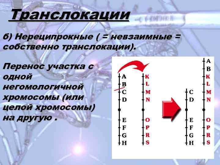 Транслокации б) Нереципрокные ( = невзаимные = собственно транслокации). Перенос участка с одной негомологичной