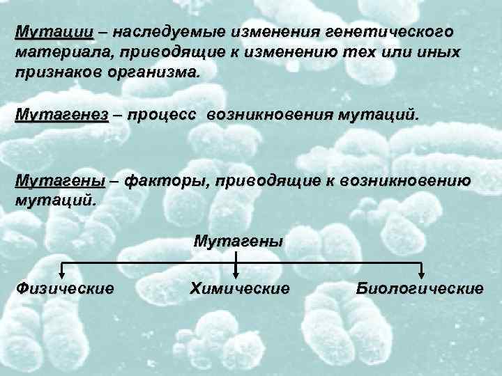 Хромосомные мутации фото