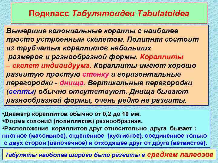 Подкласс Табулятоидеи Tabulatoidea Вымершие колониальные кораллы с наиболее просто устроенным скелетом. Полипняк состоит из