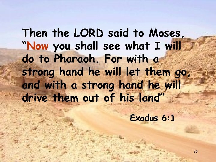 Then the LORD said to Moses, “Now you shall see what I will do