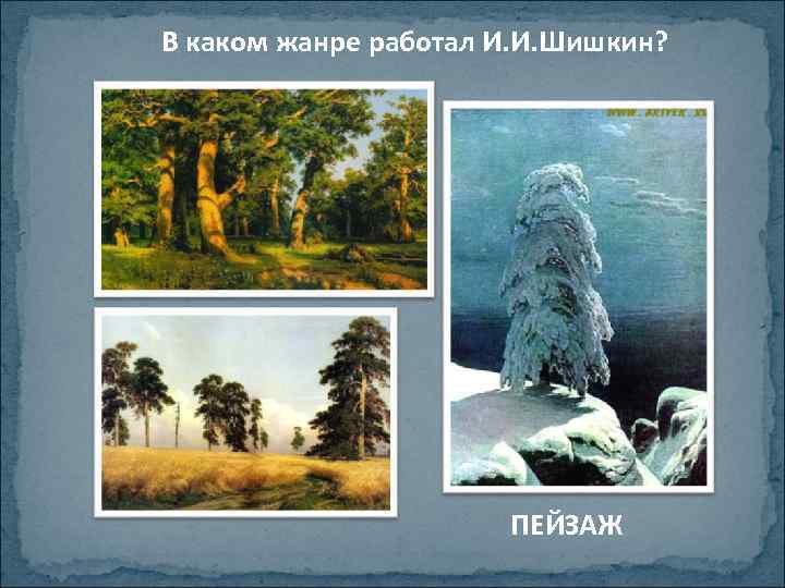 В каком жанре работал И. И. Шишкин? ПЕЙЗАЖ 
