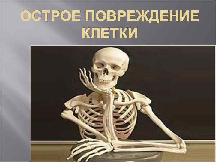 ОСТРОЕ ПОВРЕЖДЕНИЕ КЛЕТКИ 