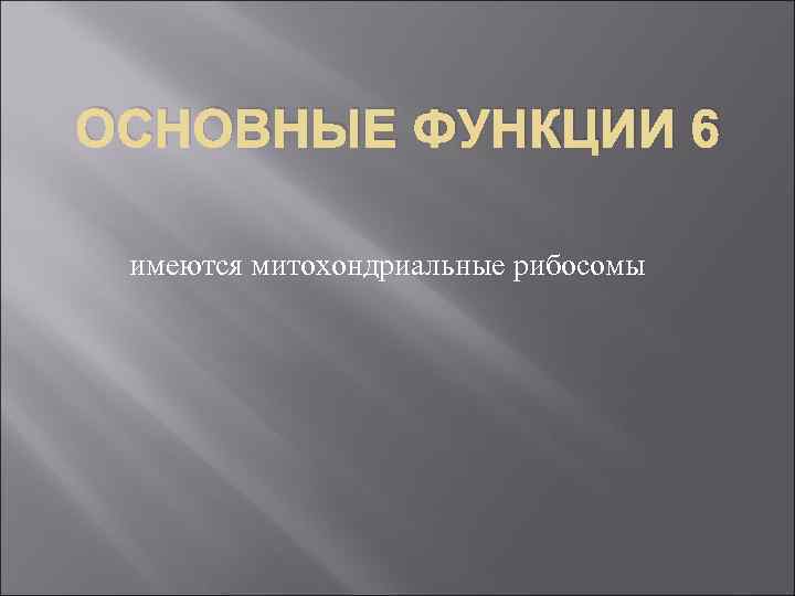 ОСНОВНЫЕ ФУНКЦИИ 6 имеются митохондриальные рибосомы 