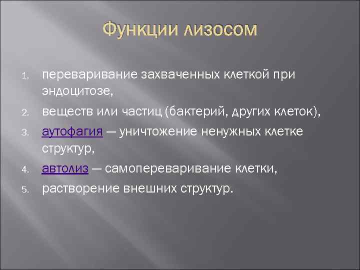 Функции лизосом 1. 2. 3. 4. 5. переваривание захваченных клеткой при эндоцитозе, веществ или
