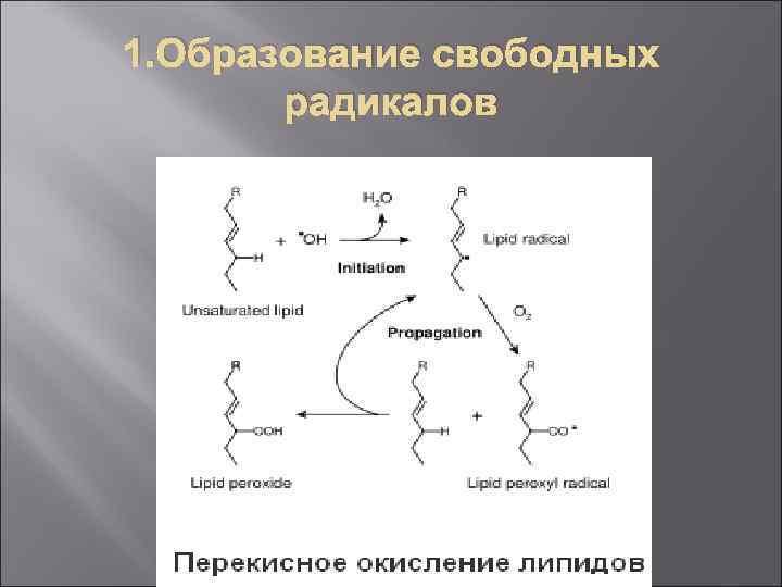 1. Образование свободных радикалов 
