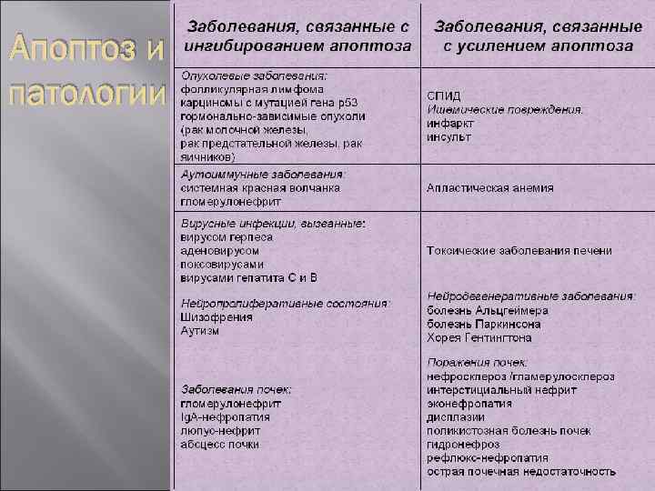 Апоптоз и патологии 