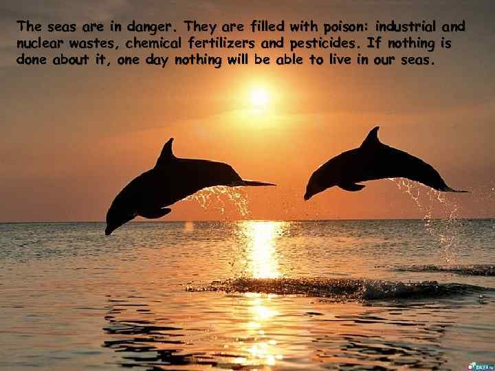 The seas are in danger. They are filled with poison: industrial and nuclear wastes,