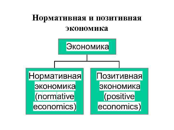 Нормативная и позитивная экономика 