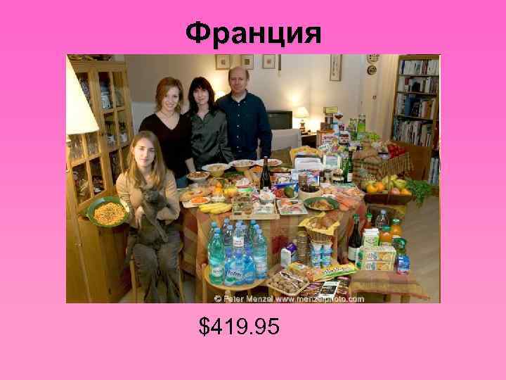 Франция $419. 95 