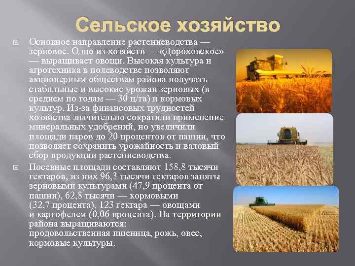 Сельское хозяйство Основное направление растениеводства — зерновое. Одно из хозяйств — «Дороховское» — выращивает