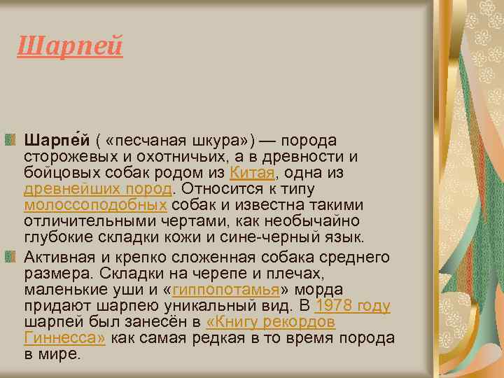 Шарпей Шарпе й ( «песчаная шкура» ) — порода сторожевых и охотничьих, а в