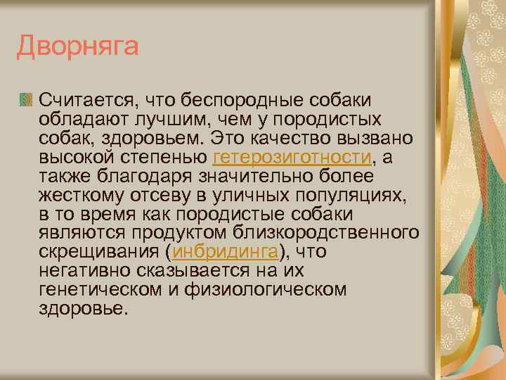 Дворняга Считается, что беспородные собаки обладают лучшим, чем у породистых собак, здоровьем. Это качество