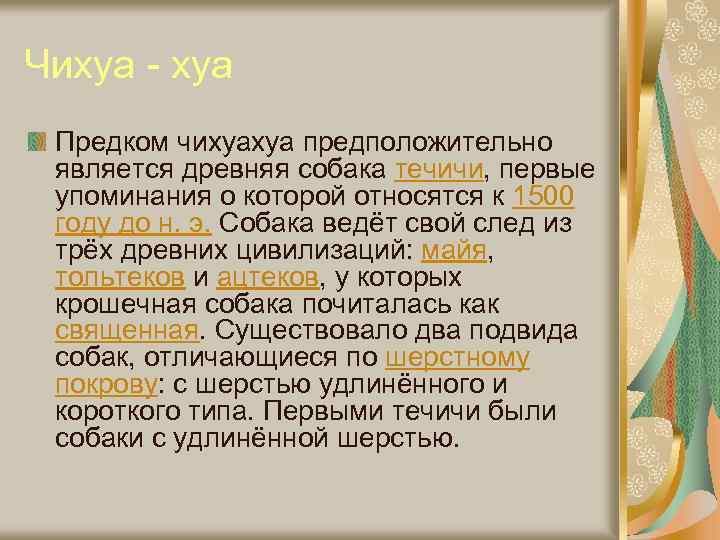 Чихуа - хуа Предком чихуахуа предположительно является древняя собака течичи, первые упоминания о которой