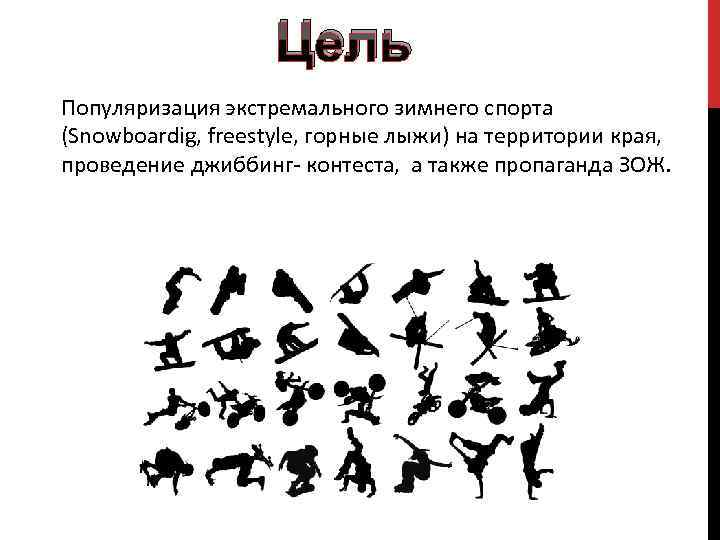 Цель Популяризация экстремального зимнего спорта (Snowboardig, freestyle, горные лыжи) на территории края, проведение джиббинг-