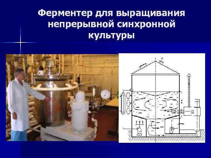 Схема ферментера для периодического культивирования микроорганизмов