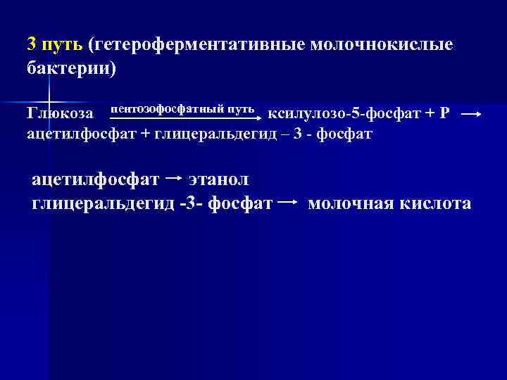 3 путь (гетероферментативные молочнокислые бактерии) Глюкоза пентозофосфатный путь ксилулозо-5 -фосфат + Р ацетилфосфат +