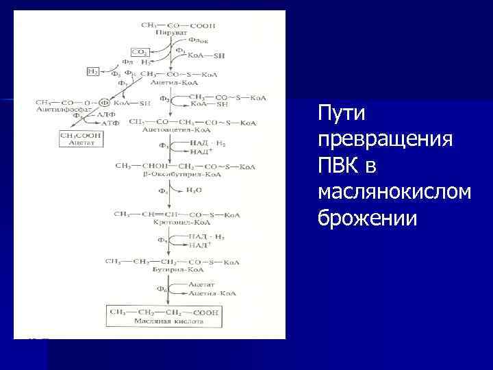 Маслянокислое брожение схема