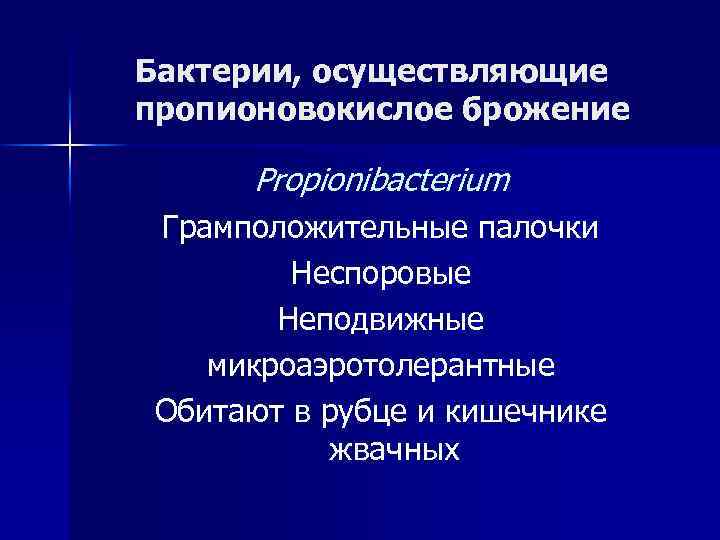 Бактерии, осуществляющие пропионовокислое брожение Propionibacterium Грамположительные палочки Неспоровые Неподвижные микроаэротолерантные Обитают в рубце и